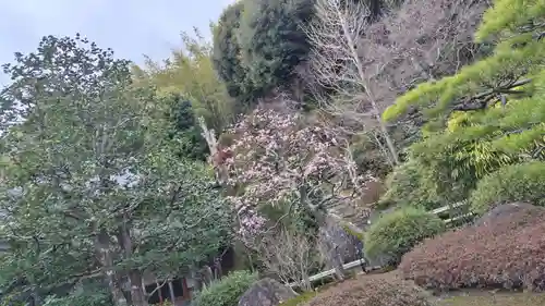 華厳寺（鈴虫寺）(京都府)