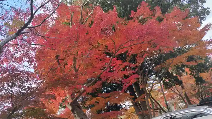 出雲大神宮(京都府)