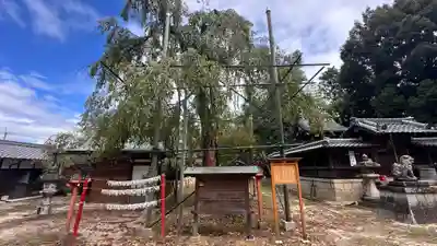 斎神社(滋賀県)