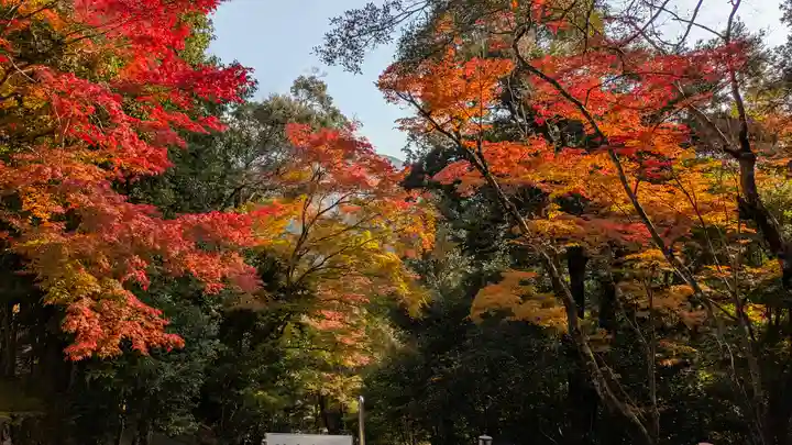 神護寺(京都府)