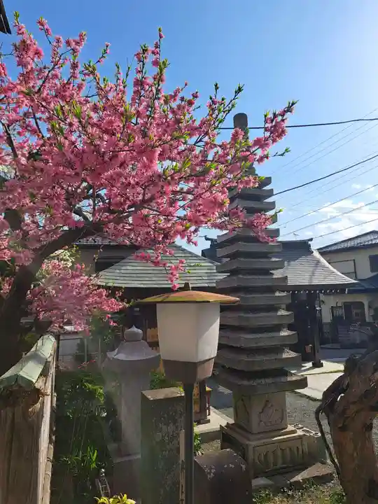 蓮久寺(神奈川県)