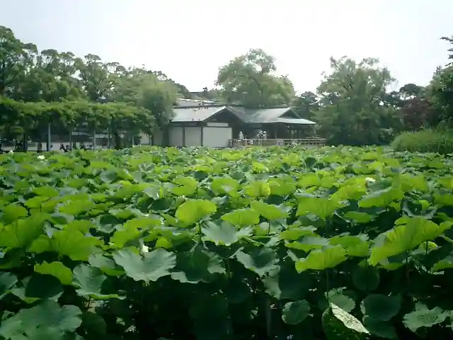 鶴岡八幡宮の庭園
