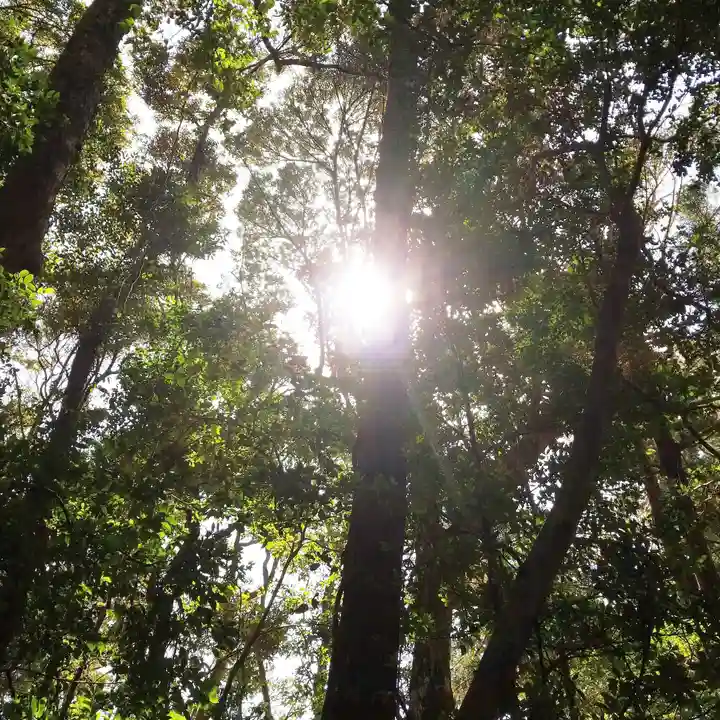 八幡神社の自然