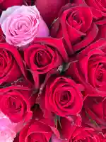 上尾御嶽神社(埼玉県)