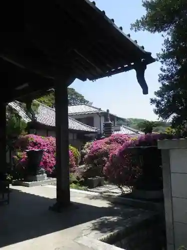 安養院　(田代寺）の庭園