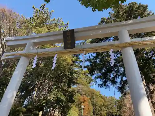 日枝神社の鳥居