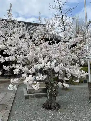 穴太寺(京都府)