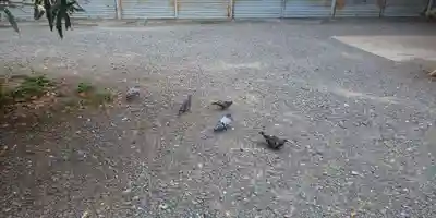 平野神社(京都府)