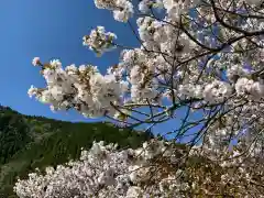 伊香具神社の自然