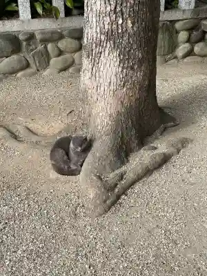 御器所八幡宮(愛知県)