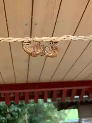 胸形神社(栃木県)