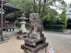 伊射奈岐神社の狛犬