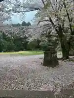 日先神社の{uncategorized: "未分類", other: "その他", undefined: "問題あり", building: "その他建物", grave: "お墓", sacred_gate: "鳥居", guardian: "狛犬", statue: "像", buddha: "仏像", history: "歴史", nature: "自然", garden: "庭園", animal: "動物", pagoda: "塔", temizu: "手水舎", mountain_gate: "山門・神門", sanctuary: "本殿・本堂", subordinate: "末社・摂社", art: "芸術", scenery: "景色", jizo: "地蔵", ema: "絵馬", goshuin: "御朱印", omikuji: "おみくじ", items: "授与品その他", amulet: "お守り", goshuincho: "御朱印帳", eats: "食事", festival: "お祭り", votive_dance: "神楽", shichigosan: "七五三参", wedding: "結婚式", experience: "体験その他", initially: "初詣", around: "周辺", anti_infection: "感染症対策"}