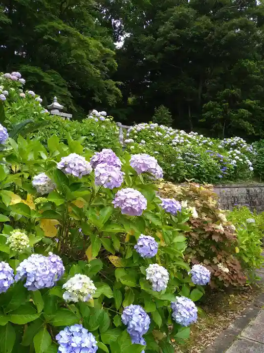 日運寺(千葉県)