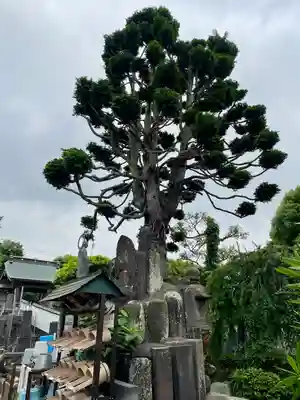 眞浄院(神奈川県)