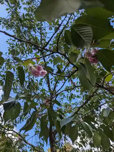 志波彦神社・鹽竈神社(宮城県)