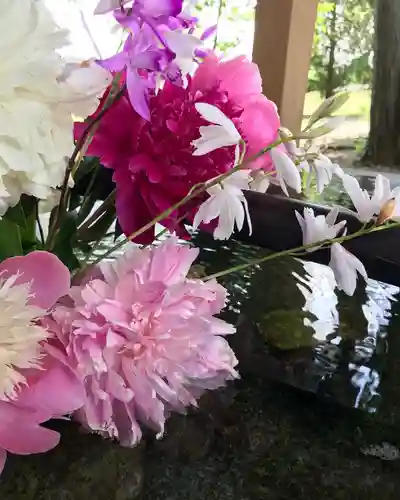 高司神社〜むすびの神の鎮まる社〜(福島県)