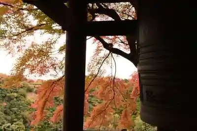 大悲閣千光寺(京都府)