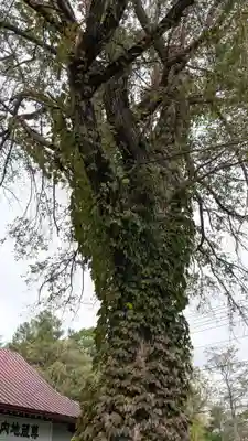 中札内地蔵尊の自然