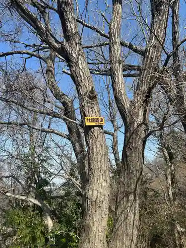 航空神社(神奈川県)