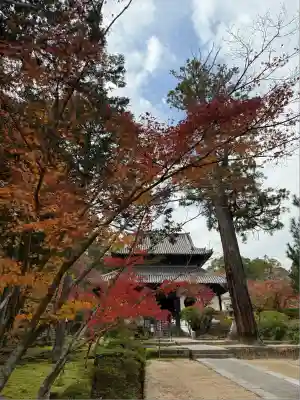 井山 宝福寺(岡山県)