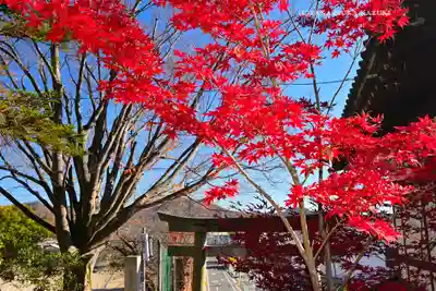 美和神社(群馬県)