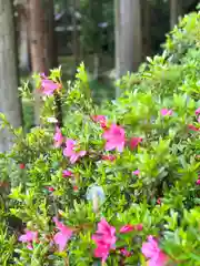 子檀嶺神社(長野県)