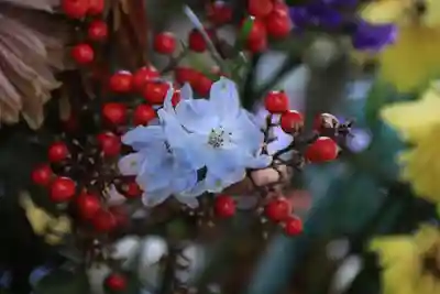 滑川神社 - 仕事と子どもの守り神の手水舎