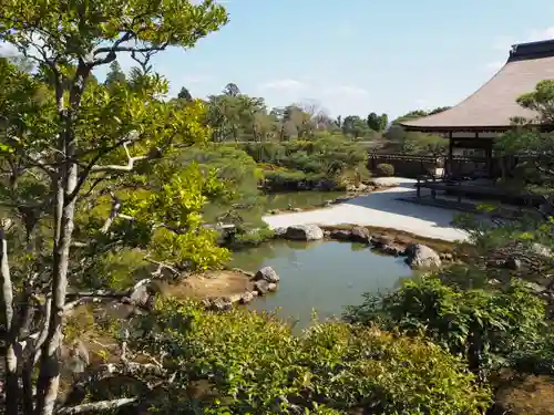 仁和寺の景色