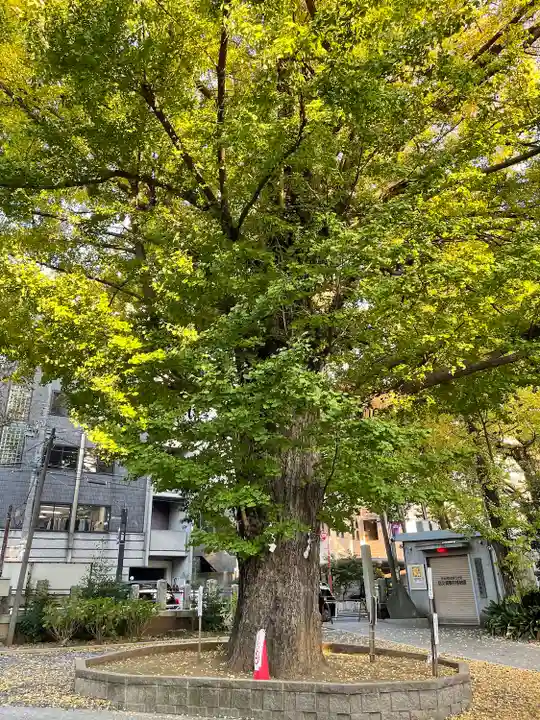 鳩森八幡神社(東京都)