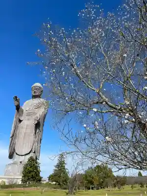 東本願寺本廟 牛久浄苑(牛久大仏)(茨城県)