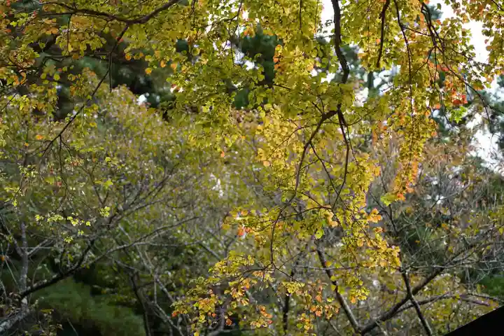 土津神社|こどもと出世の神さまの自然