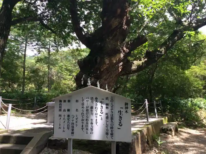 那須温泉神社の歴史