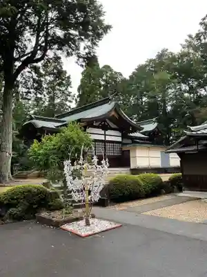 諏訪神社のおみくじ