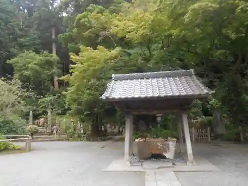 妙本寺の手水舎