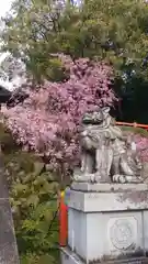 建勲神社の狛犬