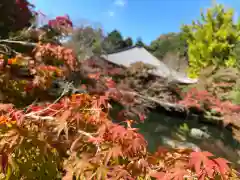 醍醐寺(京都府)