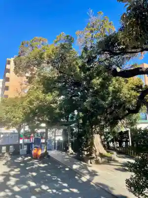 大鳥神社の{uncategorized: "未分類", other: "その他", undefined: "問題あり", building: "その他建物", grave: "お墓", sacred_gate: "鳥居", guardian: "狛犬", statue: "像", buddha: "仏像", history: "歴史", nature: "自然", garden: "庭園", animal: "動物", pagoda: "塔", temizu: "手水舎", mountain_gate: "山門・神門", sanctuary: "本殿・本堂", subordinate: "末社・摂社", art: "芸術", scenery: "景色", jizo: "地蔵", ema: "絵馬", goshuin: "御朱印", omikuji: "おみくじ", items: "授与品その他", amulet: "お守り", goshuincho: "御朱印帳", eats: "食事", festival: "お祭り", votive_dance: "神楽", shichigosan: "七五三参", wedding: "結婚式", experience: "体験その他", initially: "初詣", around: "周辺", anti_infection: "感染症対策"}