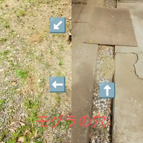 畑子安神社の自然