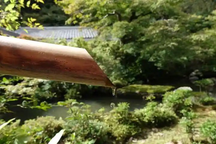 実相院門跡の手水舎