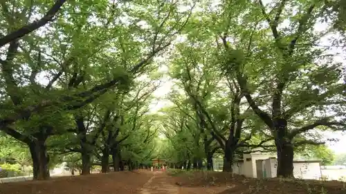 東蕗田天満社の建物その他