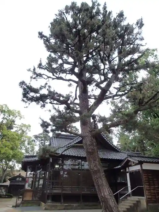 多太神社の自然