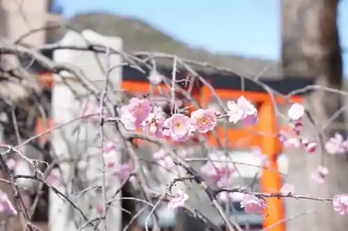 瀧宮神社(広島県)
