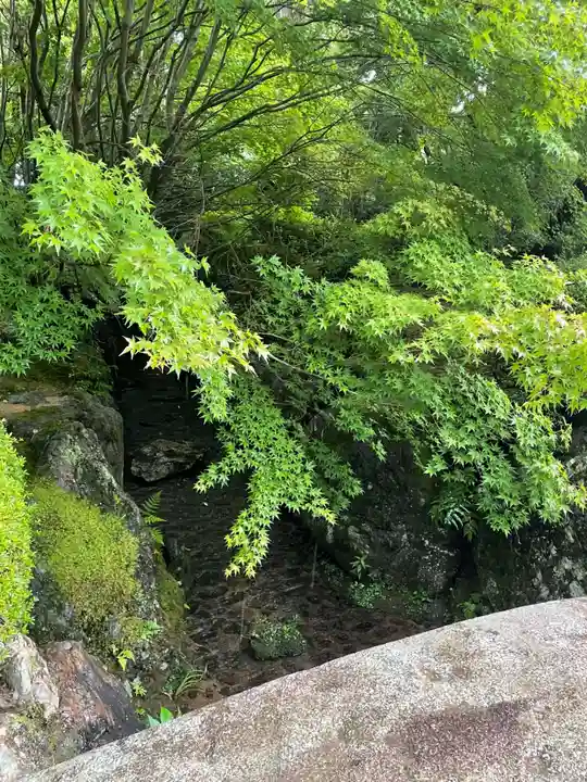 龍安寺(京都府)