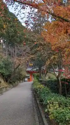 三室戸寺の山門・神門