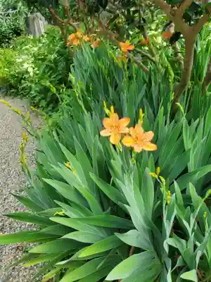 沙沙貴神社(滋賀県)