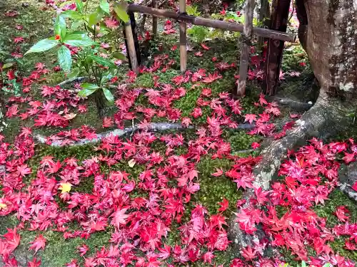 天授庵(京都府)
