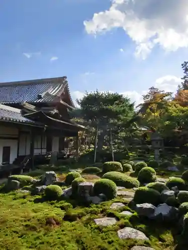 金剛寺(大阪府)