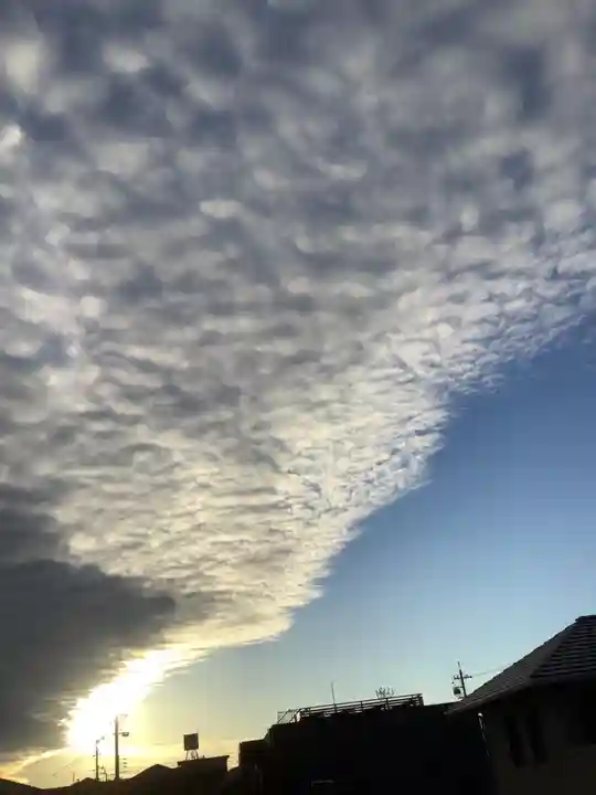 津島神社(神領町)の自然