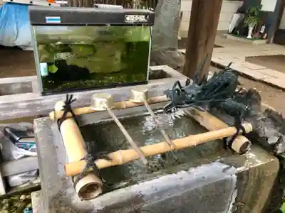 宇迦八幡宮の手水舎